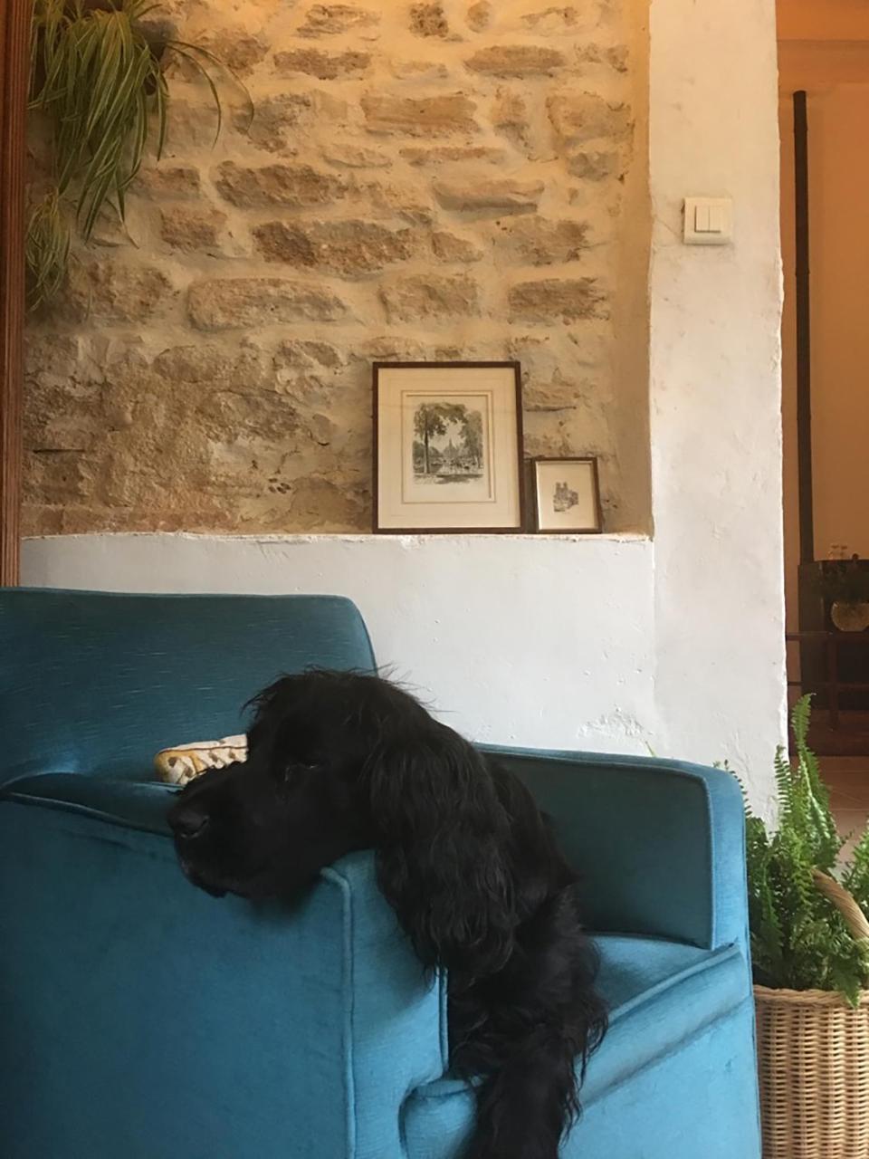 La Bergerie Pradel Bed & Breakfast Le Beaucet Luaran gambar